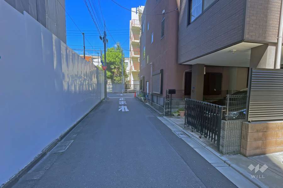 敷地の西側前面道路（南側から）