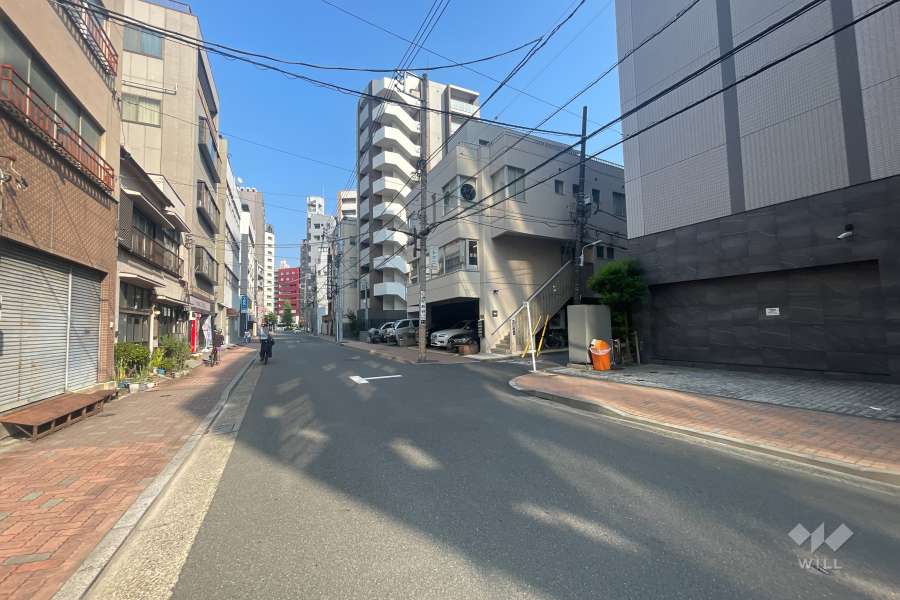 敷地北側の前面道路（西側から）