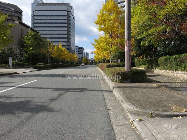 敷地南側の前面道路