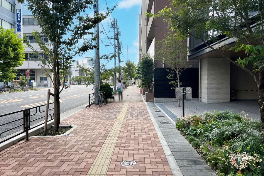 敷地南東側の前面道路