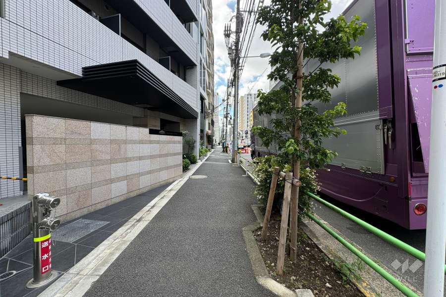 敷地の西側前面道路（北側から）