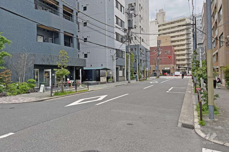 敷地の西側前面道路（北側から）