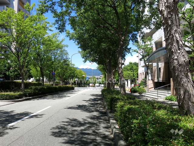 敷地西側の前面道路