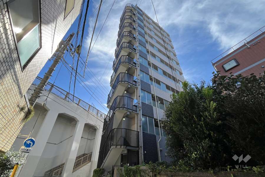 クラスタ台東根岸の外観（北東側から）