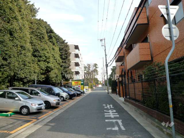 敷地北側の前面道路（西側から）