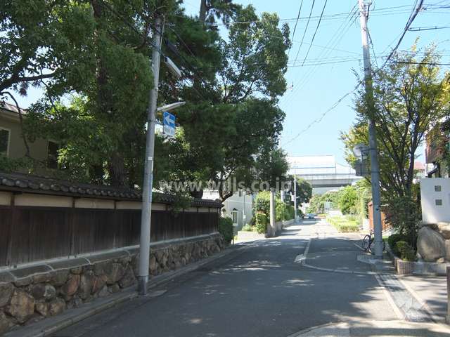 敷地東側の前面道路（南側から）
