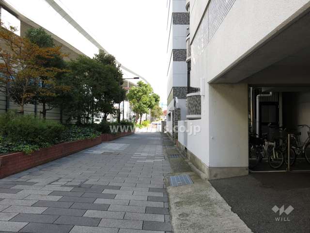 敷地北側の前面道路（国道43号線と阪神高速）