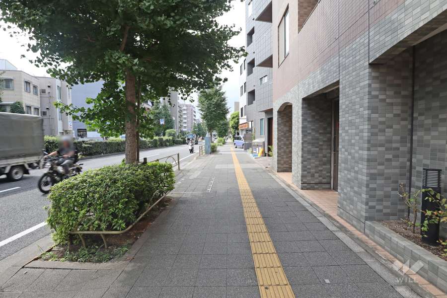 敷地南西側の前面道路（南東側から）