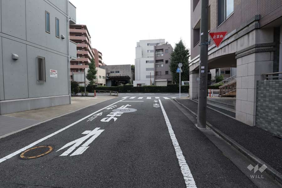 敷地東側の前面道路（北側から）