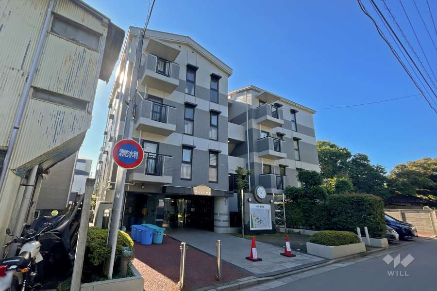 アトラス柴又の外観（北東側から）