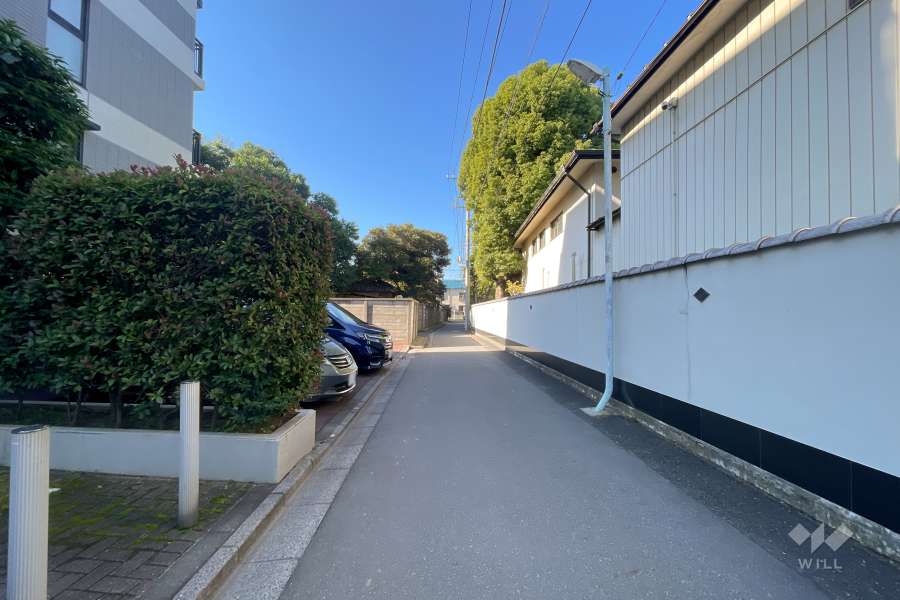 敷地北側の前面道路（東側から）