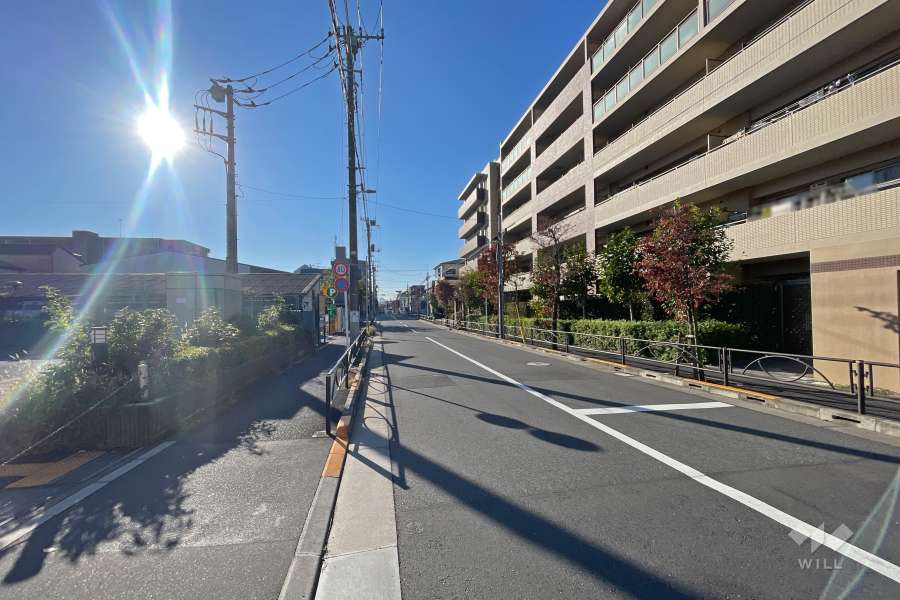 敷地東側の前面道路（北側から）