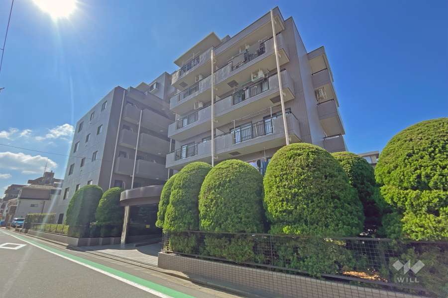 クレドール水元公園の外観（北東側から）