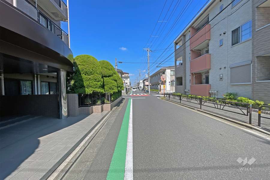 敷地の東側前面道路（南側から）