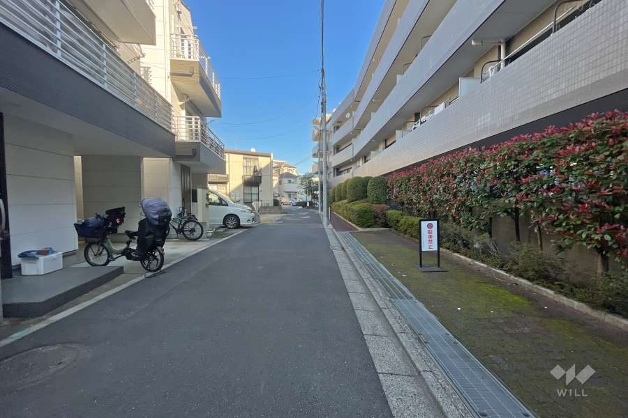 敷地西側前面道路（南側から）