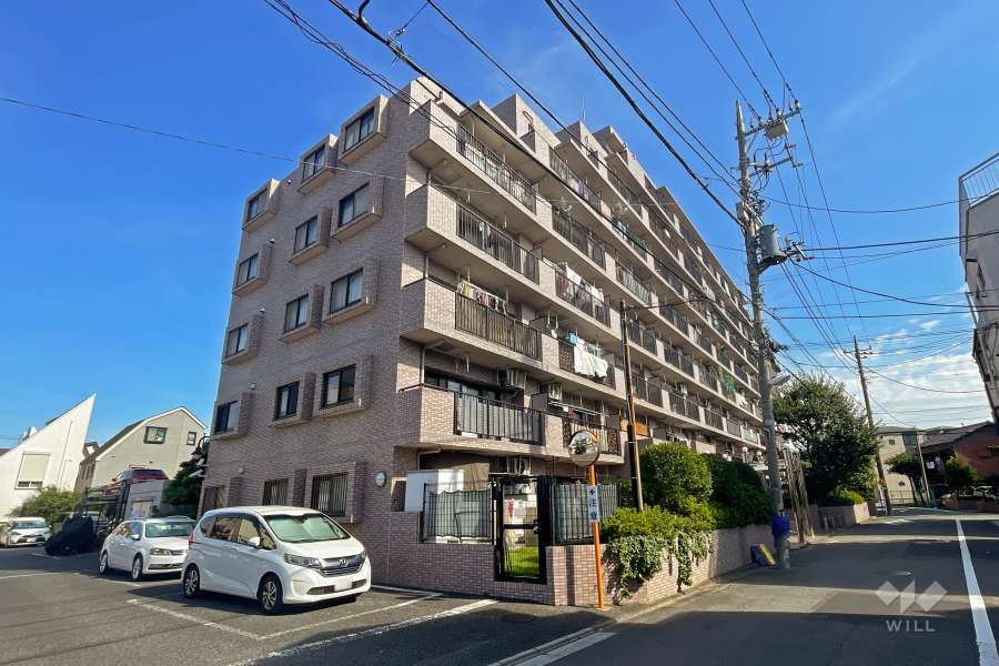 ダイアパレス柴又の外観（北西側から）