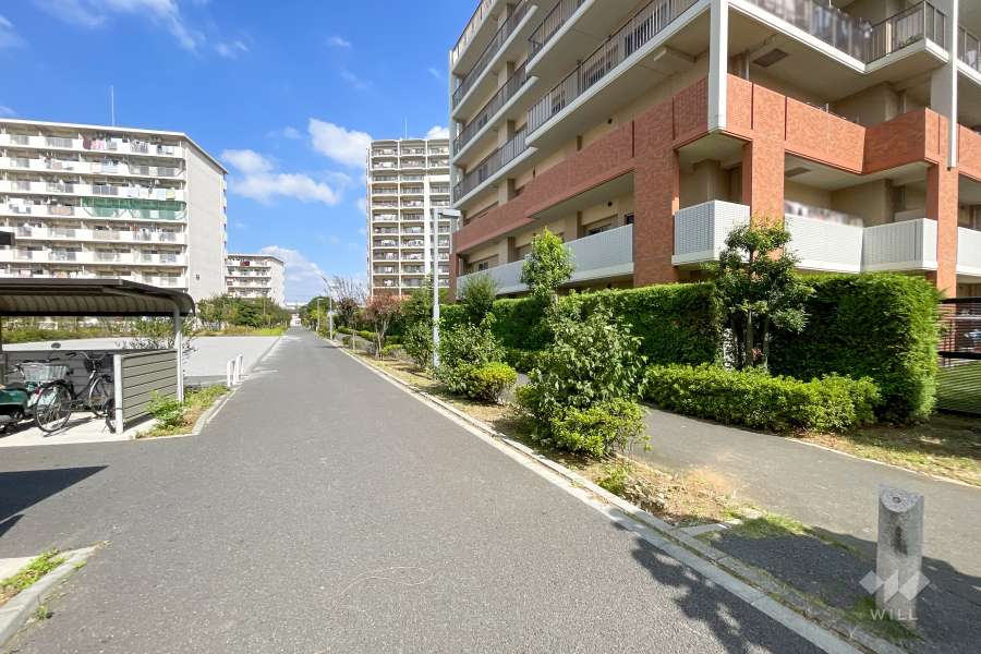 敷地西側の前面道路　