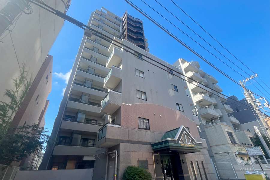 ライオンズシティ新小岩の外観（北東側から）