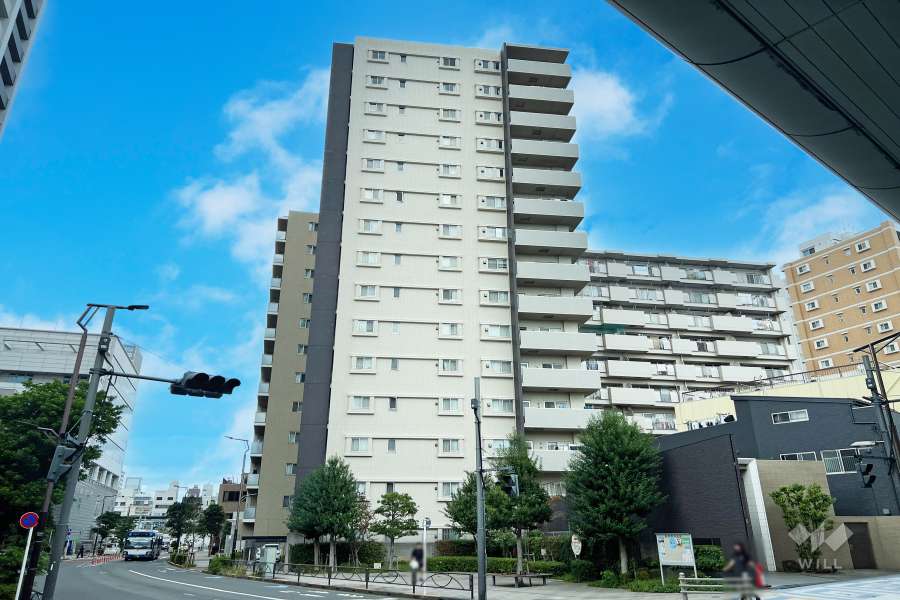 レーベンハイム金町アスティの外観（南側から）