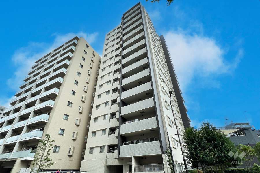 レーベンハイム金町アスティの外観（南西側から）