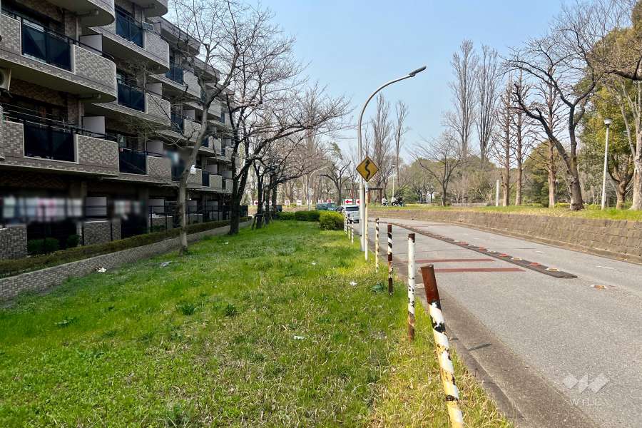 敷地の北東側前面道路（南東側から）