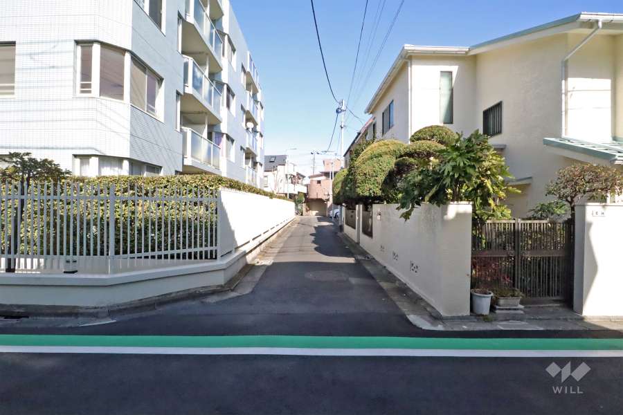 敷地南側の前面道路(西側から)