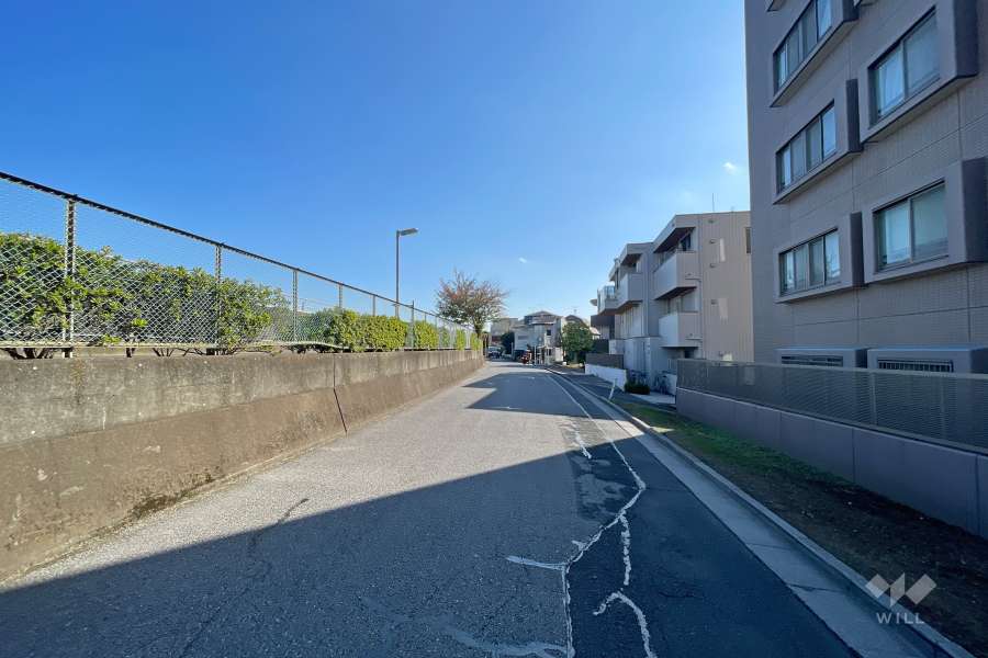 敷地の東側前面道路（北側から）