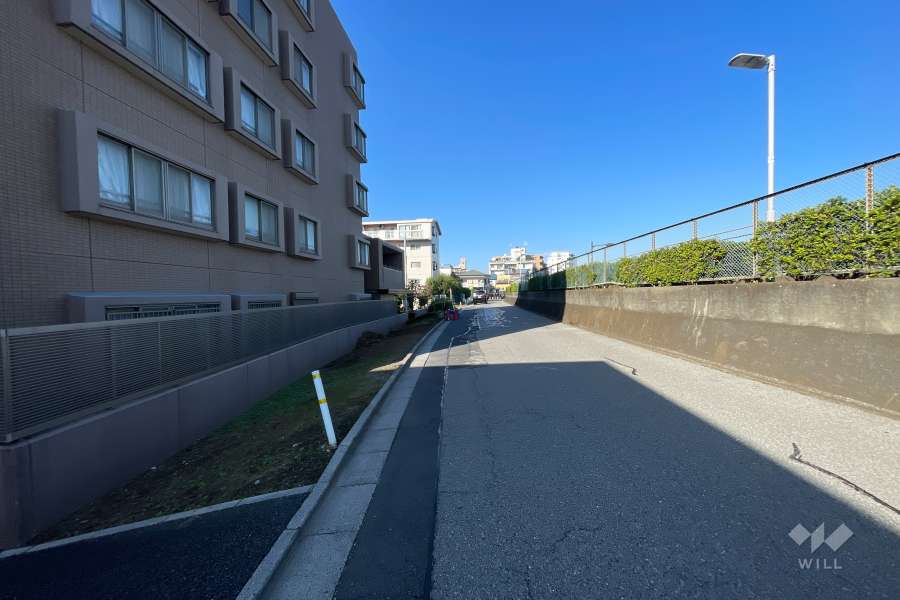 敷地の東側前面道路（南側から）