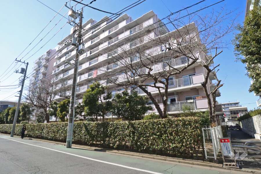 ダイアパレス立石の外観（東側から）
