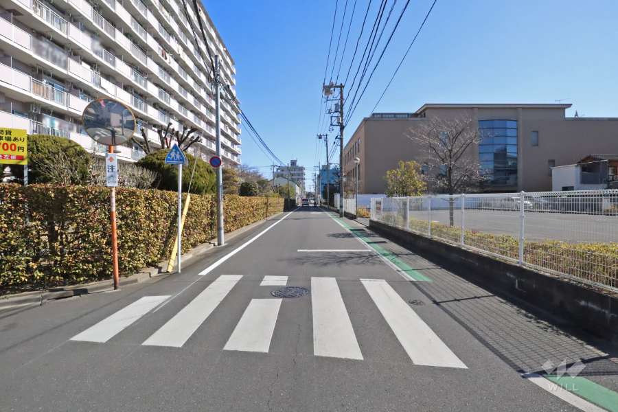 敷地南側の前面道路（西側から）