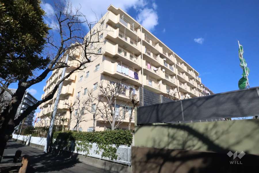 トーア立石マンションの外観(南西側から)