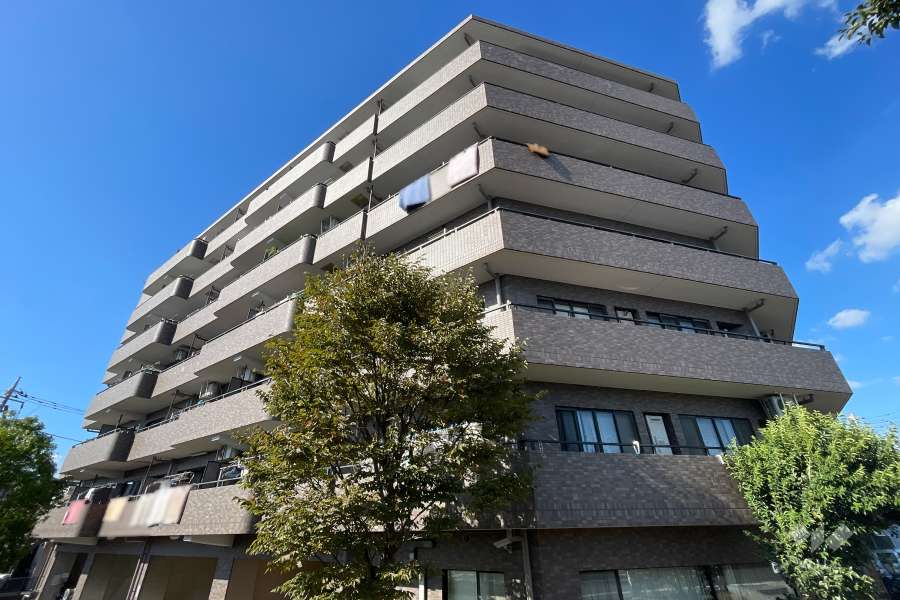 ドラゴンマンション青戸壱番館の外観（南東側から）