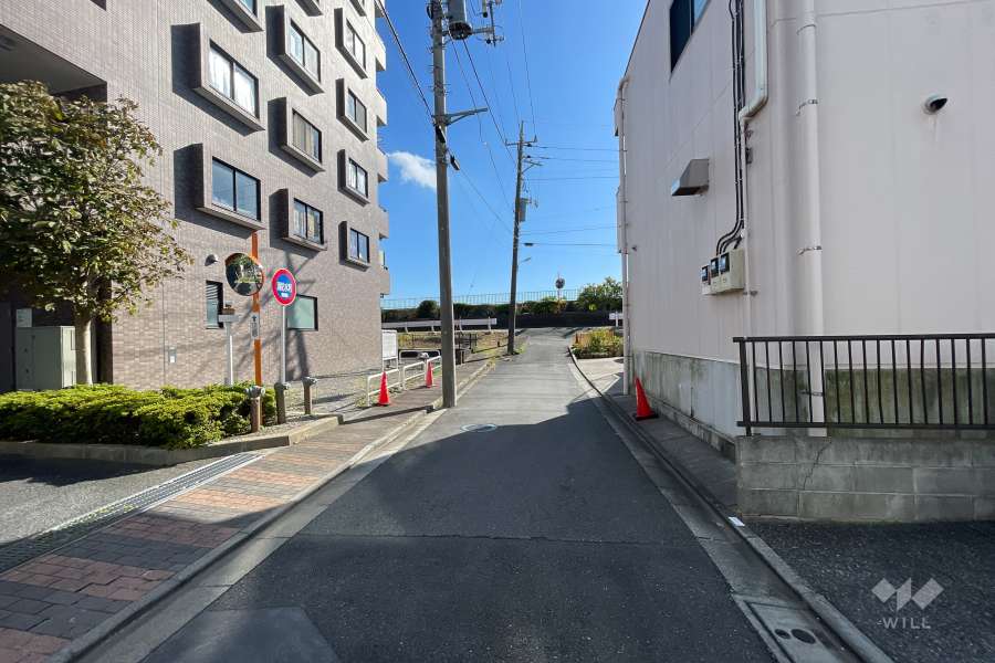 敷地の西側前面道路（北側から）