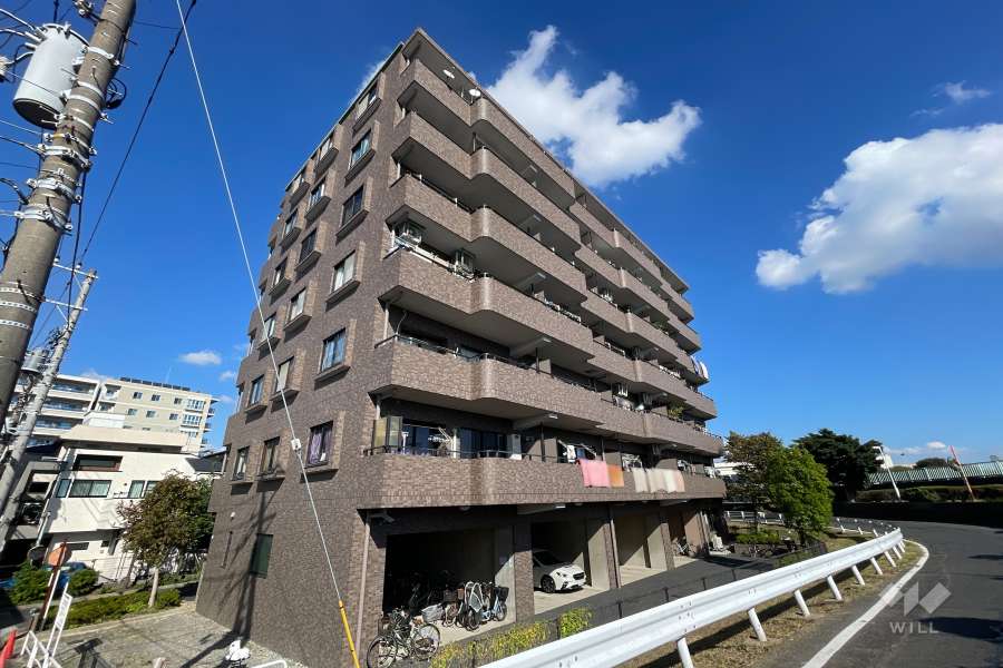 ドラゴンマンション青戸壱番館の外観（南西側から）