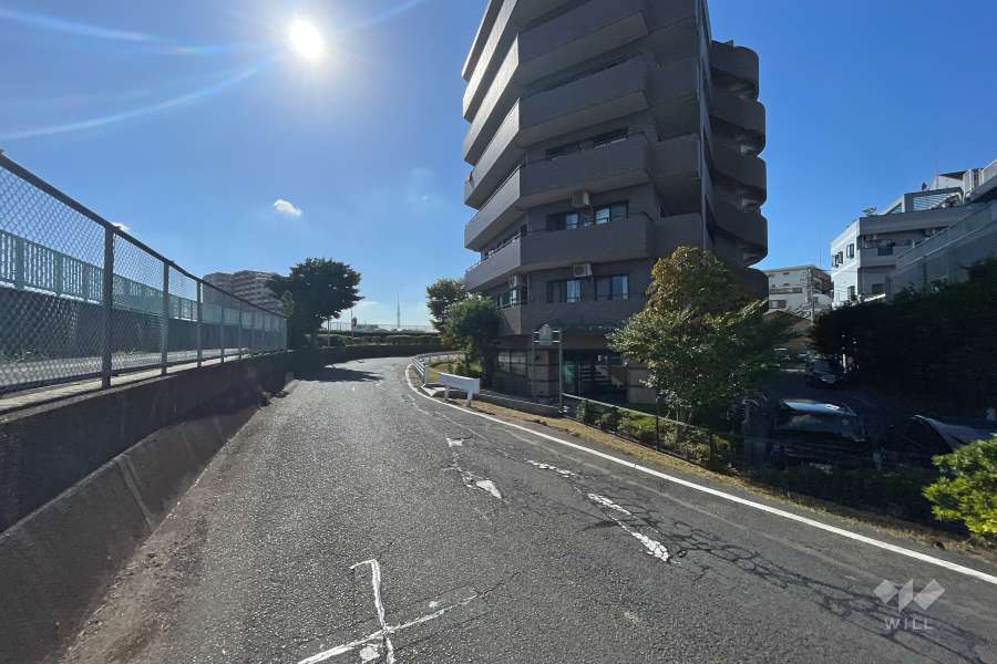 敷地の南東側前面道路（北東側から）