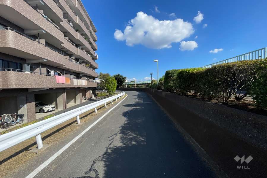 敷地の南側前面道路（西側から）