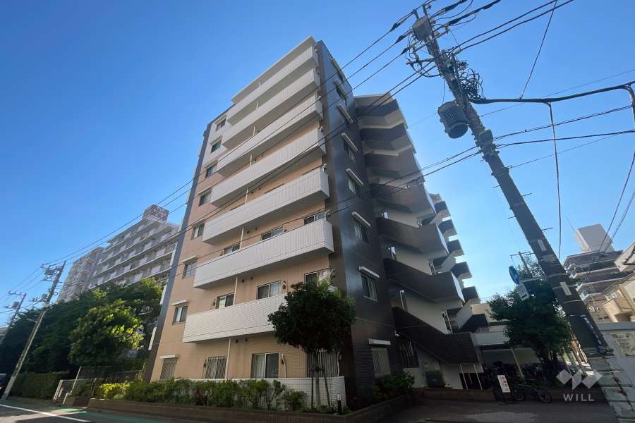 プレジール立石の外観（北東側から）
