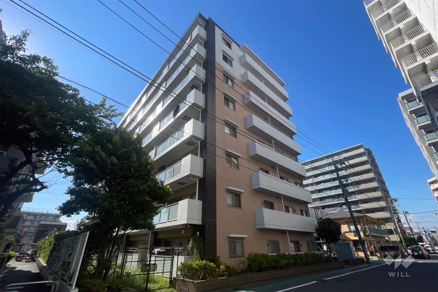 プレジール立石の外観（東南側から）