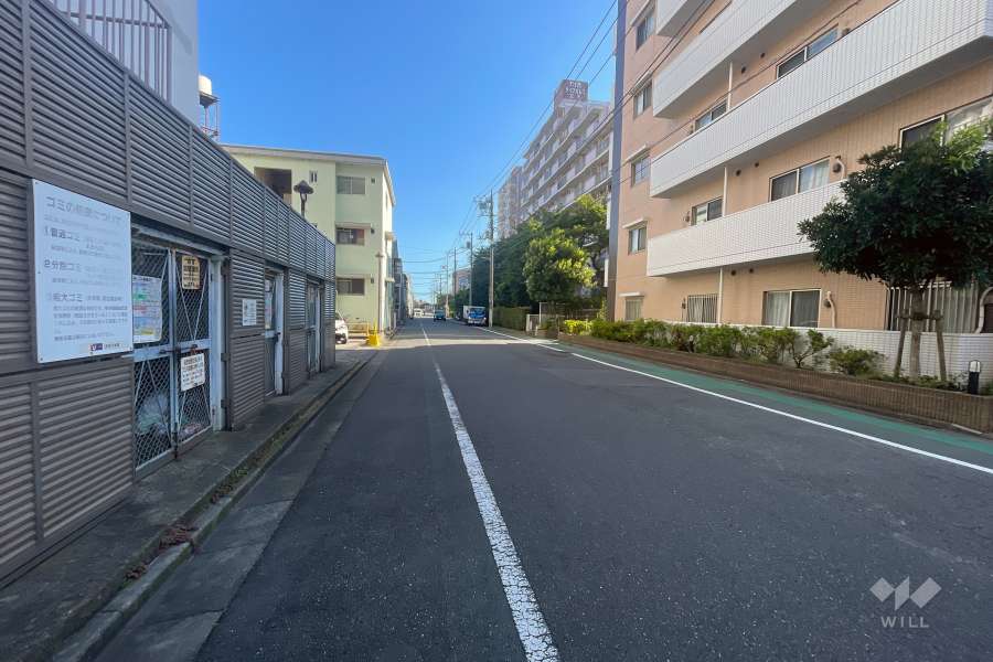 敷地の西側前面道路（南側から）