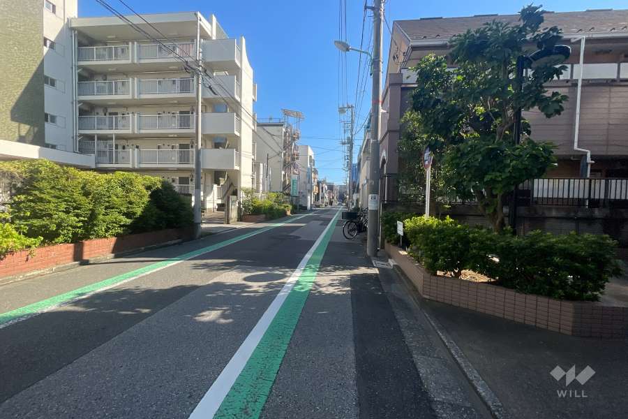 敷地の東側前面道路（北側から）