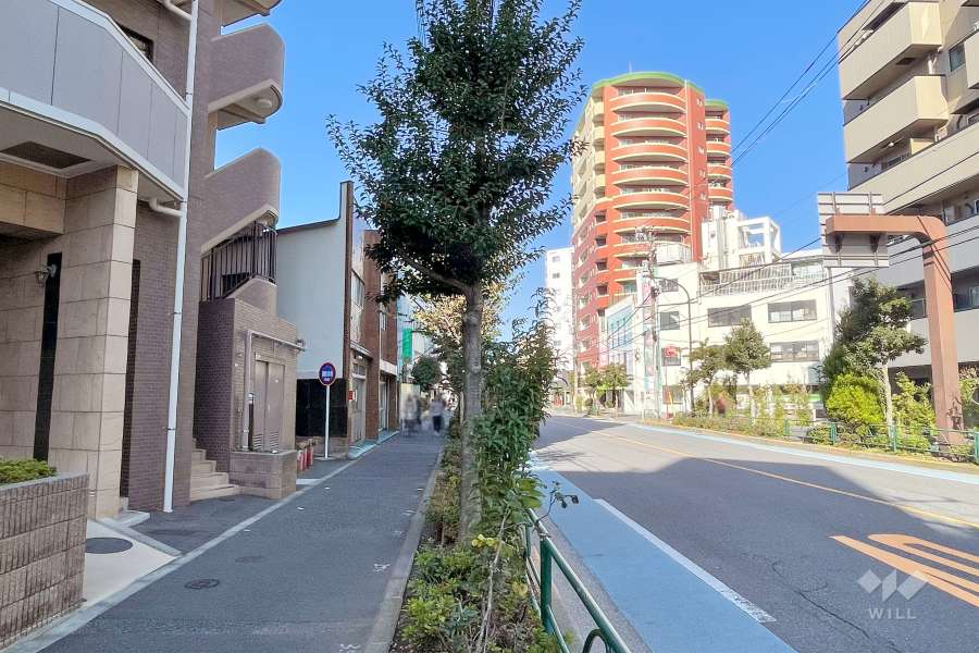 敷地北東側の前面道路（南東側から）
