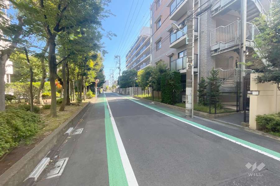 敷地東側の前面道路（北側から）