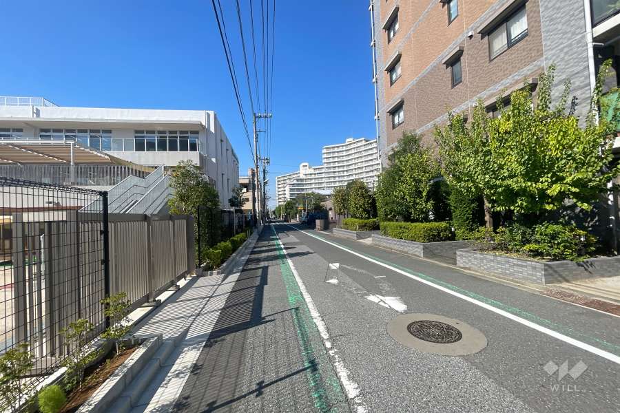 敷地西側の前面道路（南側から）