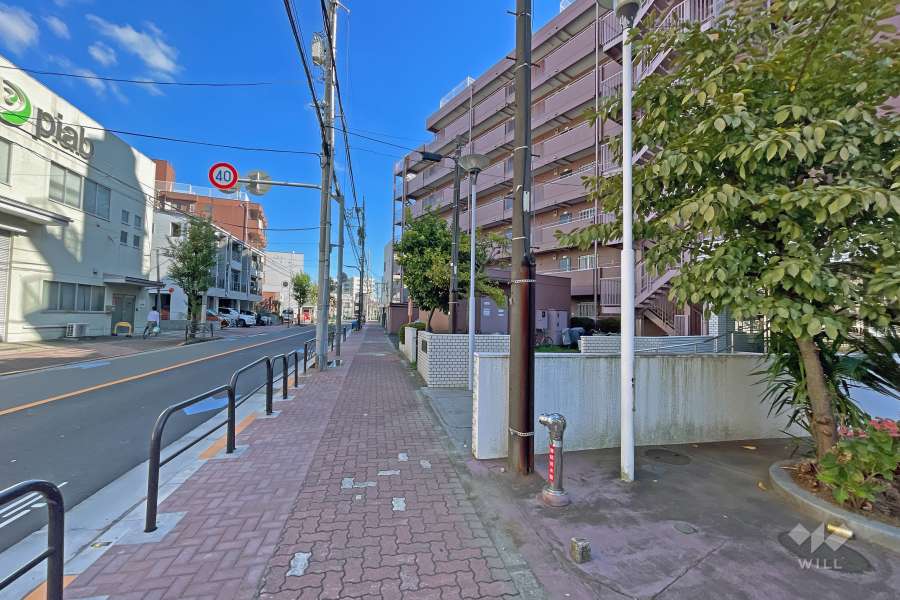 敷地の北側前面道路（西側から）