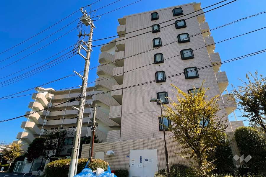 東急ドエルアルス平和橋の外観（南西側から）