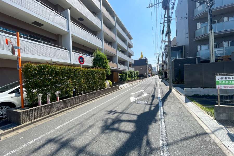 敷地西側の前面道路（北側から）