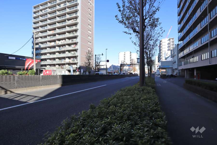 敷地北西側の前面道路(南西側から)