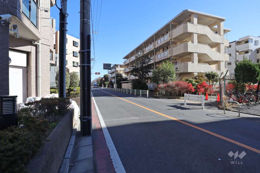 敷地南側の前面道路(西側から)