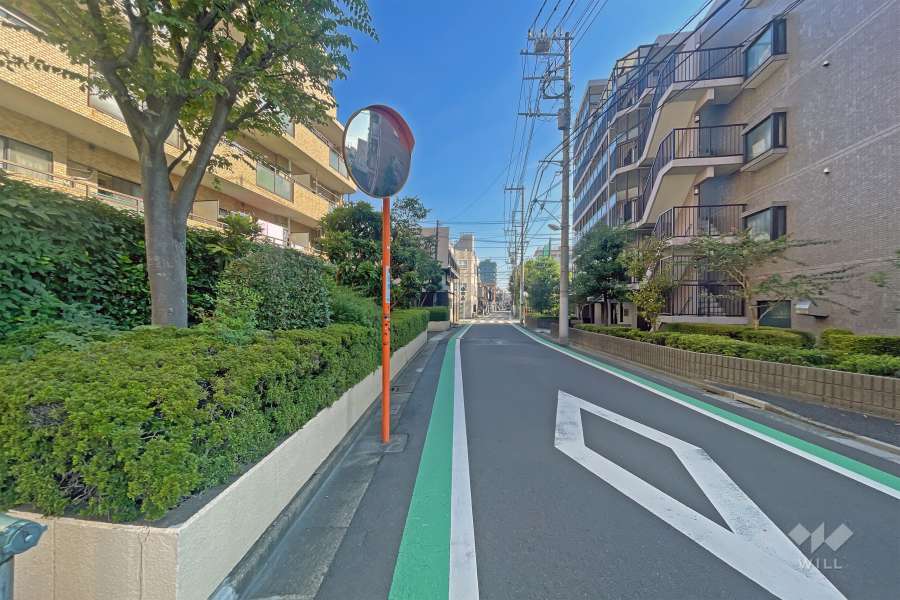敷地の南側前面道路（西側から）