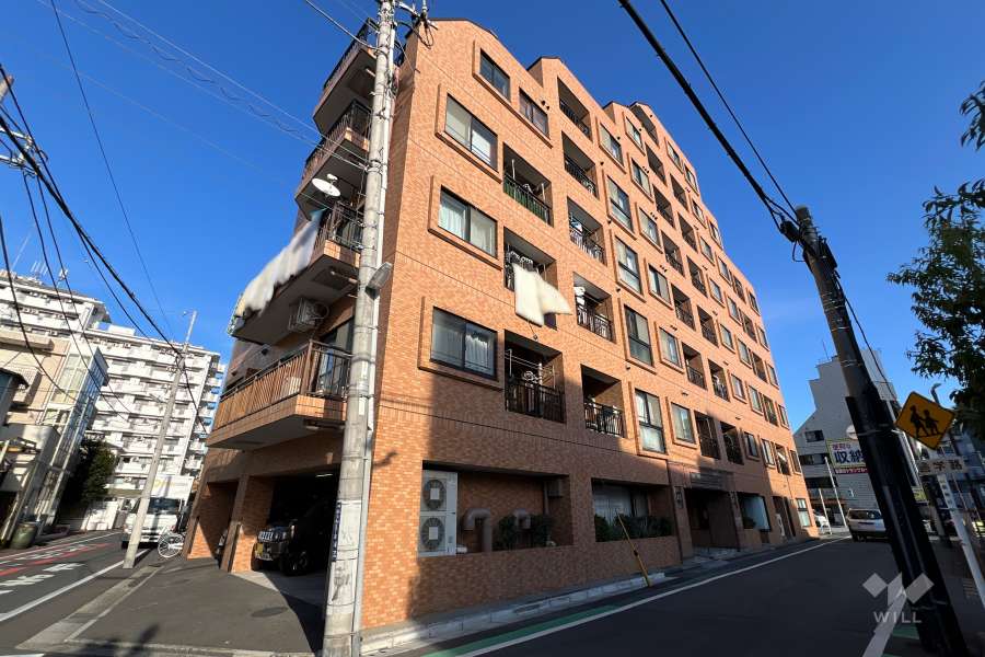 ライオンズマンション立石第2の外観（南西側から）